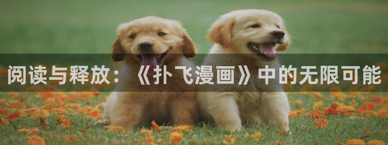 禁漫天堂咋下载